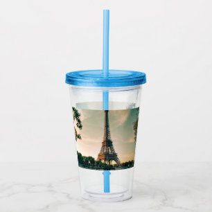 Vaso Acrílico Torre Eiffel arrojar almohada