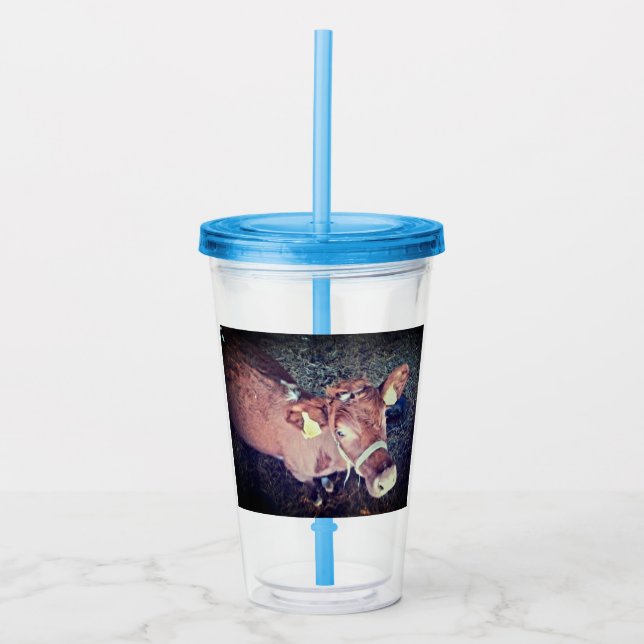 Vaso Acrílico Vaca marrón (Anverso)