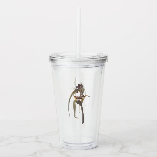 Vaso Acrílico Vireo de Audubon sobre el iris morado (Anverso)