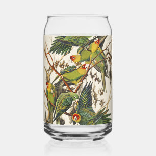 Vaso Con Forma De Lata Arte de ave del loro de Carolina de Audubon vintag