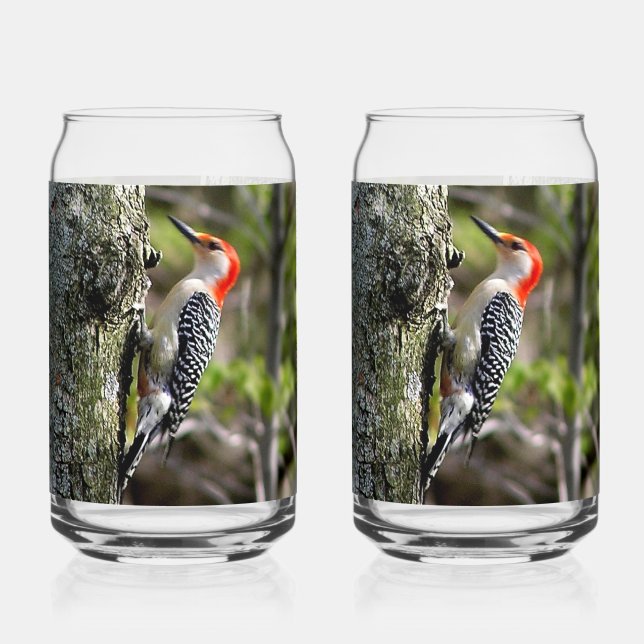Vaso Con Forma De Lata Carpintero de Vientre Rojo (Reverso )