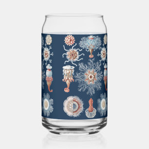 Vaso Con Forma De Lata Grabado Antiguo Siphonophorae Arte de la Naturalez