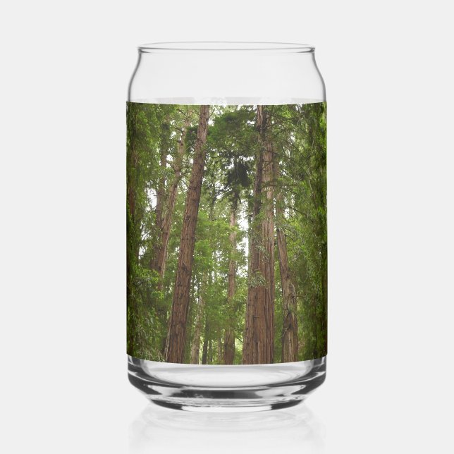 Vaso Con Forma De Lata Hasta secuoyas en el Monumento Nacional Muir Woods (Izquierda)