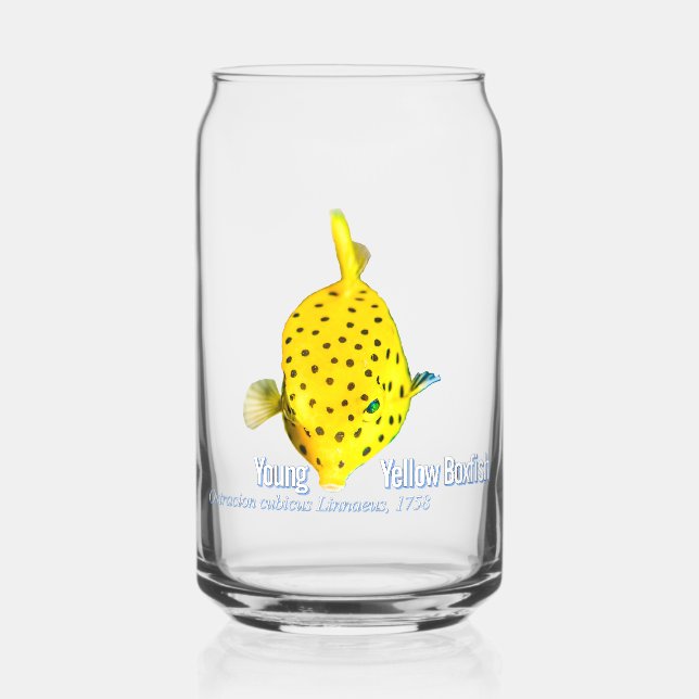 Vaso Con Forma De Lata Joven Boxfish (Anverso)