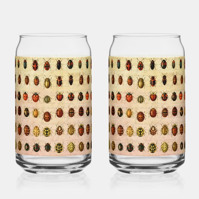 Vaso Con Forma De Lata Ladybug Ladybird Beetle Insect Bug (Anverso)