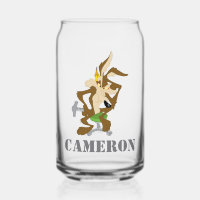 Planificación de WILE E. COYOTE™
