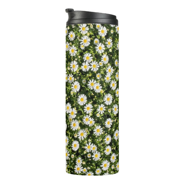 Vaso de acero inoxidable Daisy Meadow (Rotado hacia la derecha)