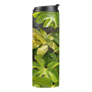 Vaso de agua con hojas 