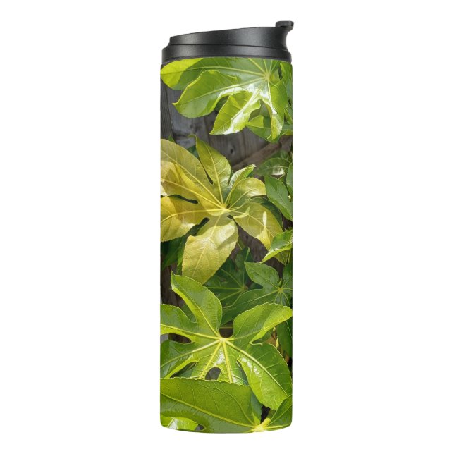 Vaso de agua con hojas  (Rotado hacia la izquierda)