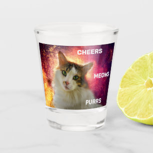 Vaso De Chupito Adorable Cute Calico Cat