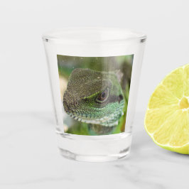 Vaso De Chupito Agama, lagarto