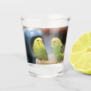 Vaso De Chupito Agujas serias