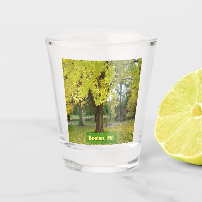 Vaso De Chupito Árbol de guijarros amarillo (Anverso)