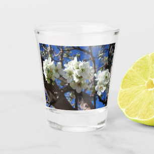 Vaso De Chupito Árbol de peras florido de primavera de los Cluster