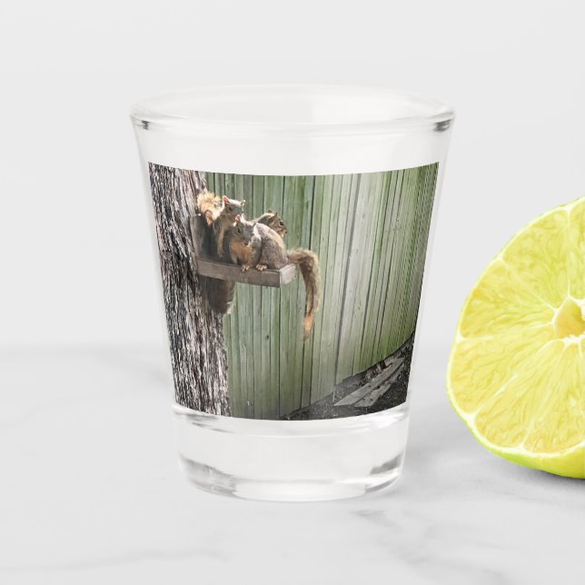 Vaso De Chupito Ardilla (Anverso)