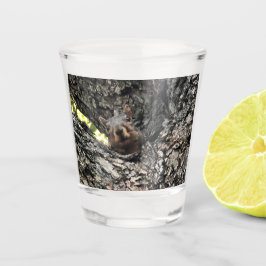 Vaso De Chupito Ardilla