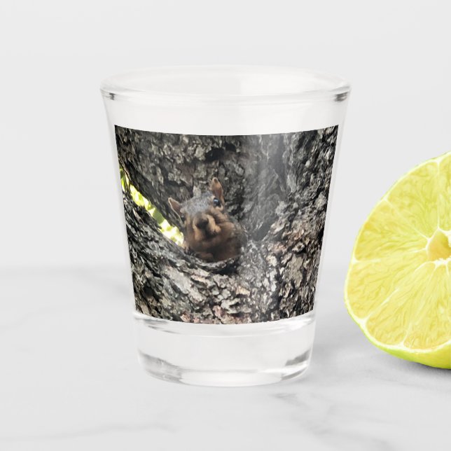 Vaso De Chupito Ardilla (Anverso)