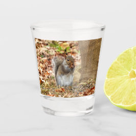 Vaso De Chupito ardilla hambrienta