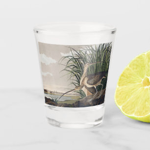 Vaso De Chupito Arte de ave de Audubon de Zarapito de Pico Largo V
