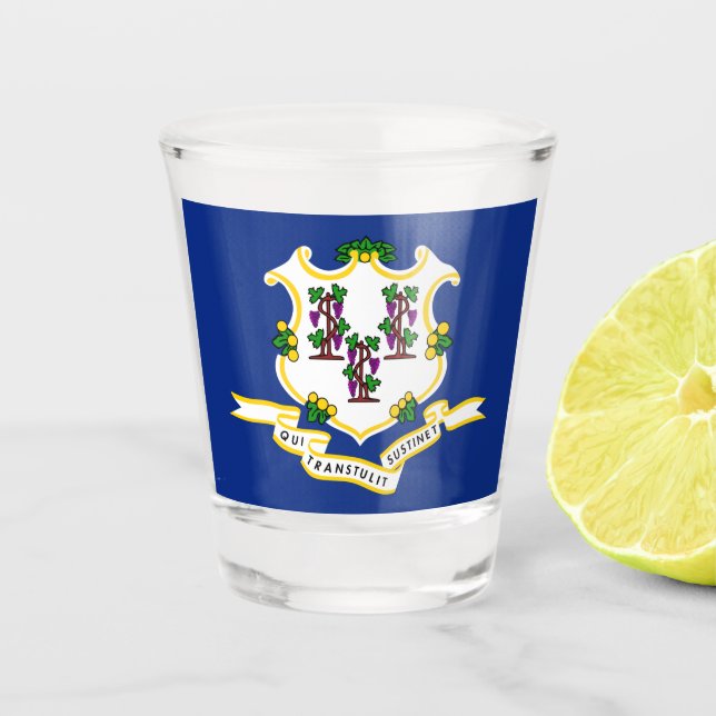 Vaso De Chupito Bandera estatal de Connecticut (Anverso)