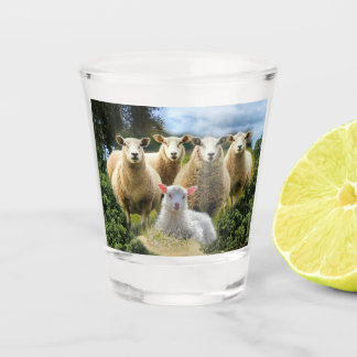 Vaso De Chupito Bebé de oveja de oveja