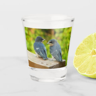 Vaso De Chupito Bebé Traga fotografías de aves naturales
