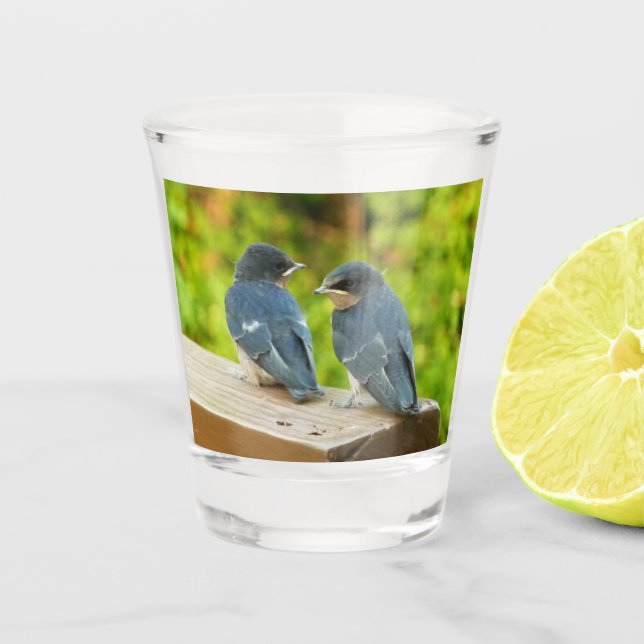 Vaso De Chupito Bebé Traga fotografías de aves naturales (Anverso)