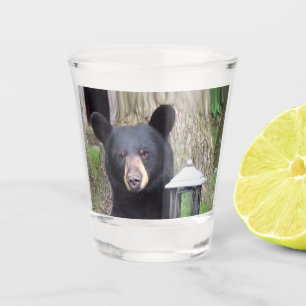 Vaso De Chupito Bello oso negro