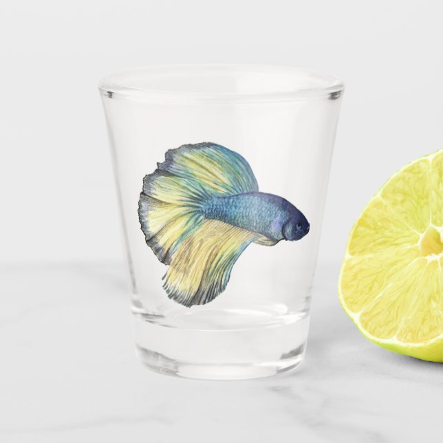 Vaso De Chupito Betta Fish Shot Glass (Anverso)