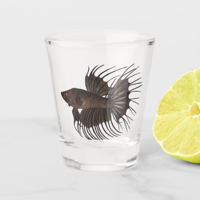 Vaso De Chupito Betta Fish Shot Glass (Anverso)