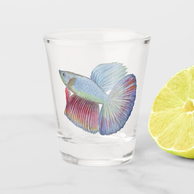 Vaso De Chupito Betta Fish Shot Glass (Anverso)