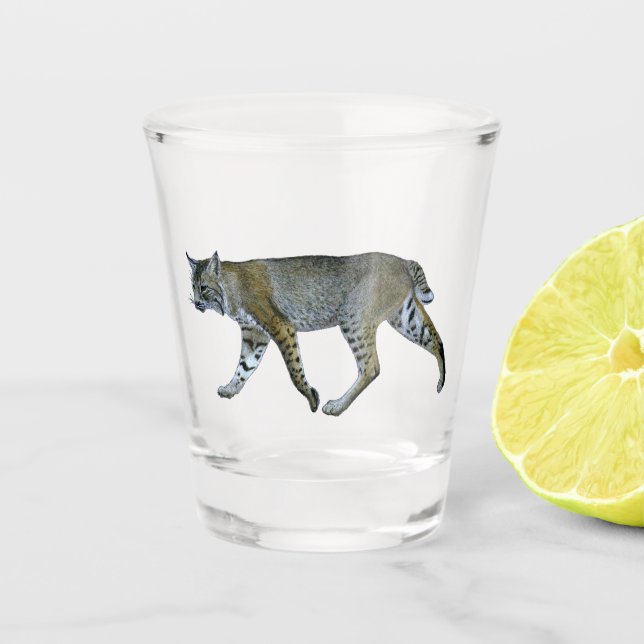 Vaso De Chupito Bobcat (Anverso)