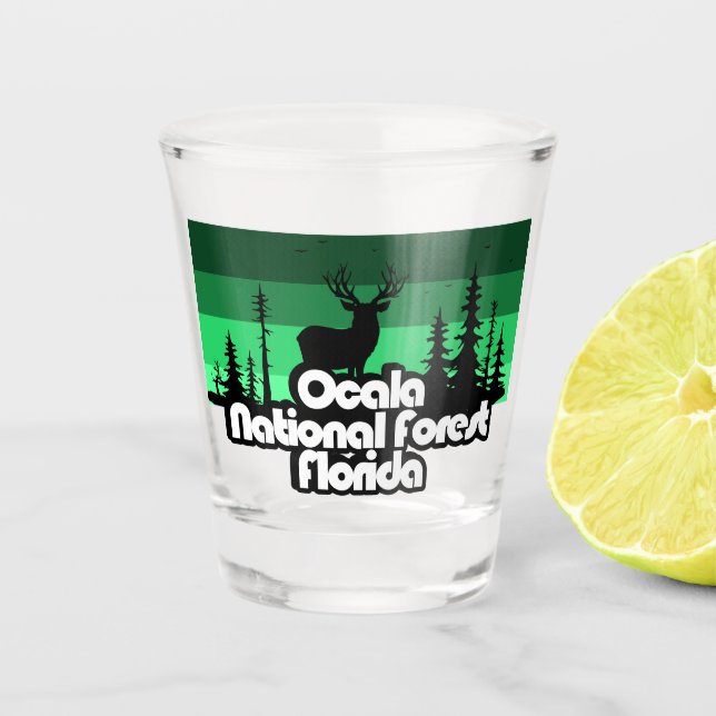 Vaso De Chupito Bosque nacional de Ocala Florida (Anverso)
