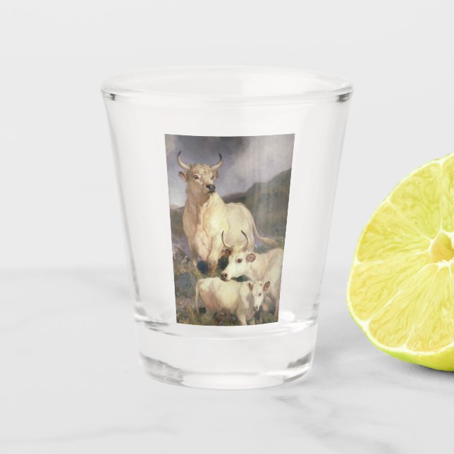 Vaso De Chupito Bovino salvaje de Chillingham (vacas) (Anverso)