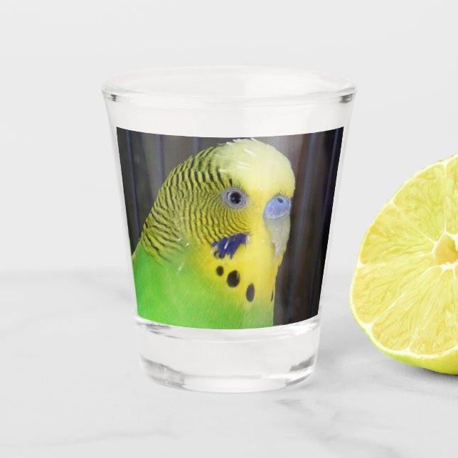 Vaso De Chupito Budgie 003 (Anverso)