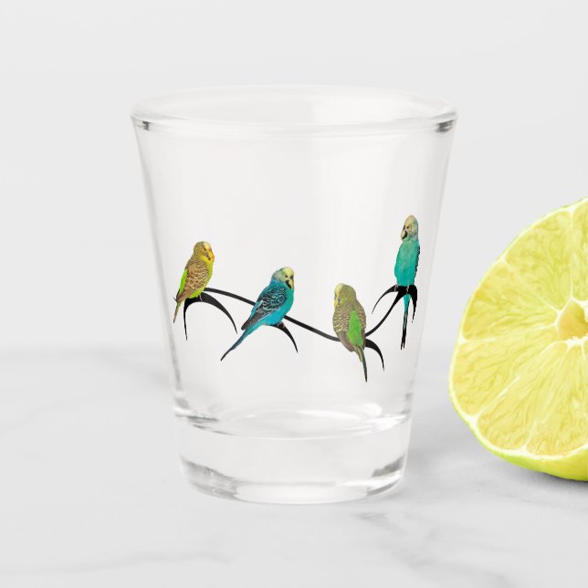 Vaso De Chupito Budgie Frenzy Gift Glass (Anverso)