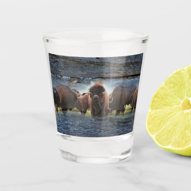 Vaso De Chupito Búfalo (Anverso)
