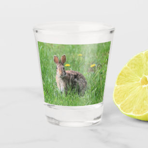 Vaso De Chupito Bunny