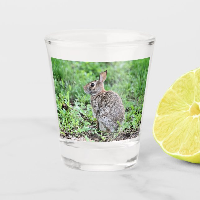 Vaso De Chupito Bunny (Anverso)