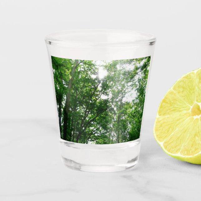 Vaso De Chupito Buscando árboles de verano (Anverso)