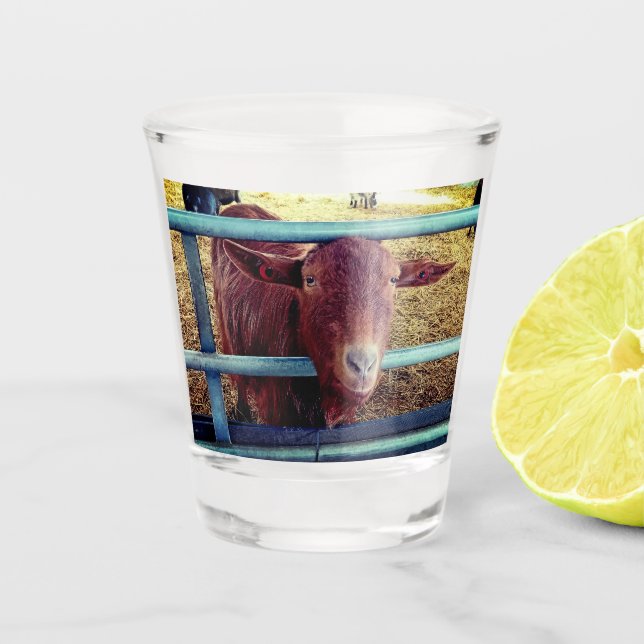 Vaso De Chupito Cabra marrón (Anverso)