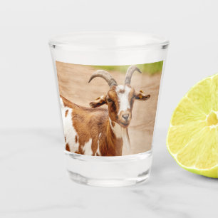 Vaso De Chupito Cabra marrón y blanca