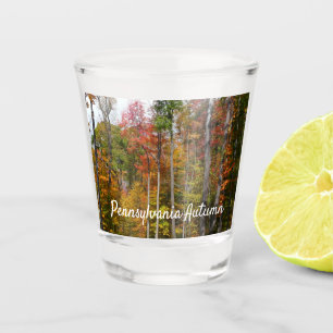 Vaso De Chupito Caída en la colorida fotografía de otoño en el bos