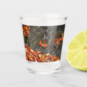 Vaso De Chupito Caídas en cataratas en fotografía de otoño