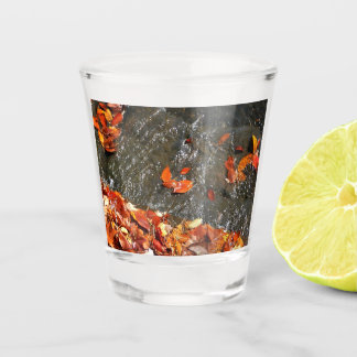 Vaso De Chupito Caídas en cataratas en fotografía de otoño