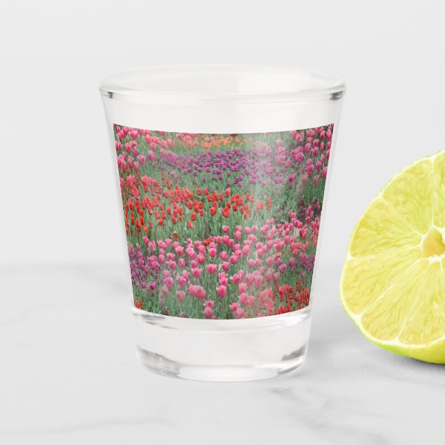 Vaso De Chupito Campo De Tulipanes (Anverso)