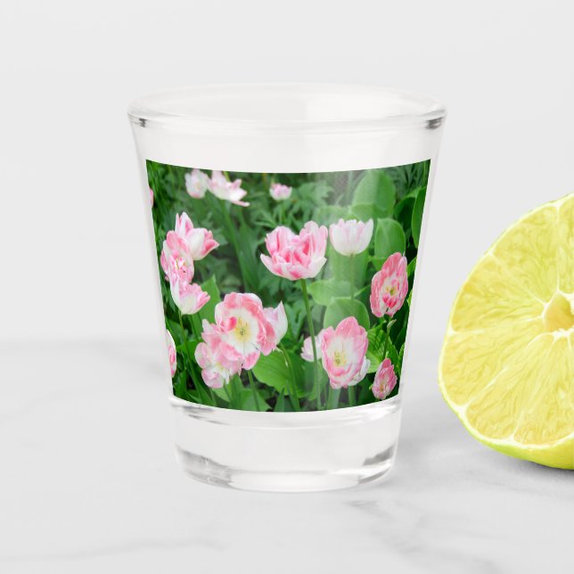 Vaso De Chupito Campo de tulipanes rosados (Anverso)