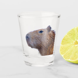Vaso De Chupito Capibara