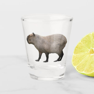 Vaso De Chupito Capibara