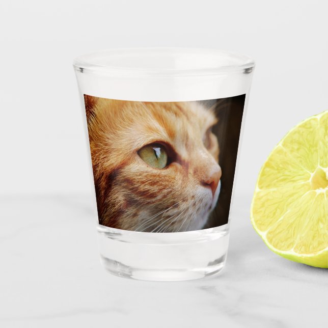 Vaso De Chupito Cara determinada de un gato jengibre (Anverso)